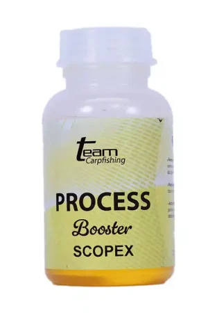 Booster Team Carpfishing Dip 200 ml Scopex Prix Réduit