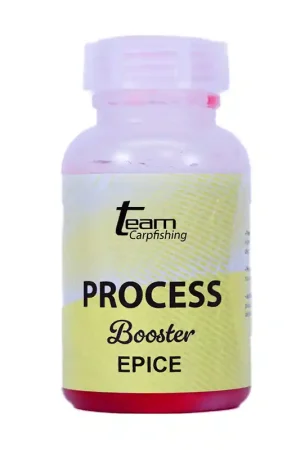 Booster Team Carpfishing Dip 200 ml Épices Super Prix