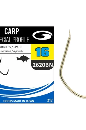 Hameçons Non-Montés GARBOLINO Carp Special Profile 2620BN Bon Marché