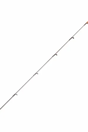 Seulement Aujourd'hui Scion Carbone Plein Pour R Feeder Long Cast 3OZ