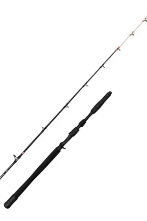 Solde Canne PENN Marine Brigade Dentex 1.90m