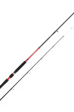 Prix Bas Canne Tenya Daiwa powermesh 242h 2.40m 20-70g