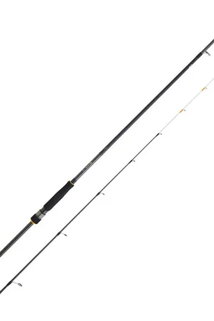 Canne Tenya Daiwa Bg Tenya Game 2.40m, 15-80g Top Vente