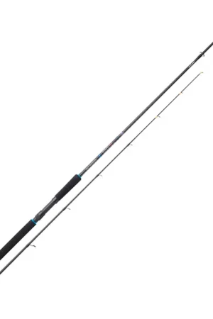 Canne Spinning SUNSET Salty Kingdom Tenya SW 3m 130g max Produit De Marque