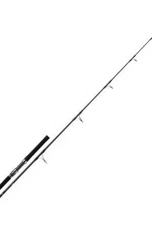 Affaire À Saisir Canne Casting Daiwa Saltiga 2.46m max 100g