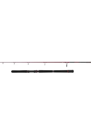 Bon Plan Canne Penn Squadron III Spinning 300-600g