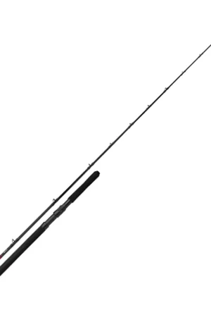 Affaire À Saisir Canne Shimano Vengeance BX Boat Slim 30-50 LB