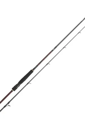 Canne Daiwa Infeet Seabass 2.29m Top Vente
