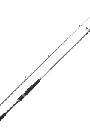 Canne Spinning DAIWA Saltist Seabass 2m44 14-42g Bon Plan