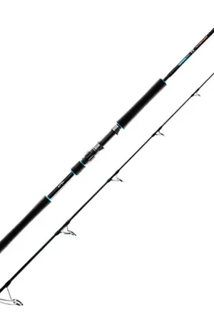 Canne Spinning Favorite Sx1 2.74m Bon Plan