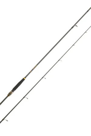 Canne Daiwa Legalis Seabass 802 HM HFS Marque