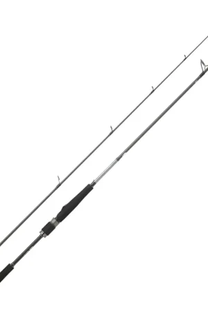 Canne Spinning DAIWA Saltist Seabass 2m44 7-28g Populaire