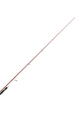 Commander Vite Canne Spinning Tenryu Akuru SP 86 MH 2.59m, 14-55g