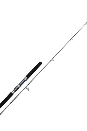 Affaire À Saisir Canne Berkley Battalion Solid Jigging Spinning Rod 1m83 200g