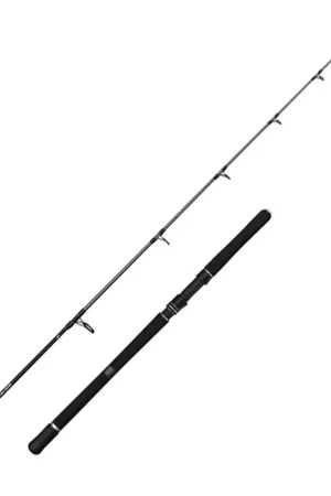 Canne Penn Squadron IV Jig 204 cm 300-600 g Populaire
