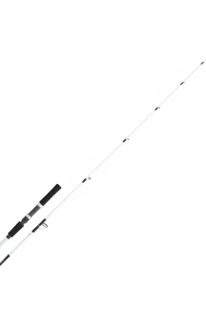 Canne bay jiggin daiwa saltist off shore 2.06m 60/150g Expédition Rapide
