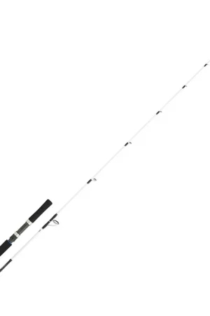 Super Prix Canne bay Jigging Daiwa saltist off shore 1.91m 60/150g