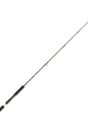 Remise Canne Spinning Daiwa Legalis Jigging 1m91