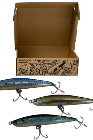 Acheter Direct Pack 3 BEST leurres Evok Loki minnow 100 SW