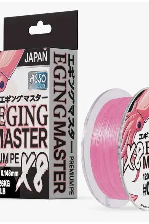 Petit Prix Tresse Pe Eging Master 8X - 120m Asso
