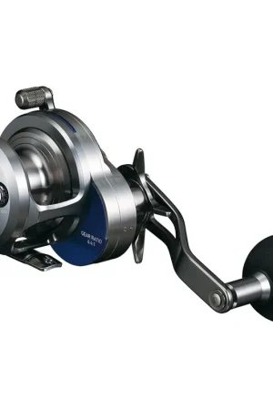 Commande En Gros Moulinet Daiwa Staliga 2015 15HL