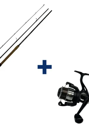 Commander Maintenant Ensemble MASTER MINNOW 3BRINS 270 5-15G + FIRST TROUT 2000 FD