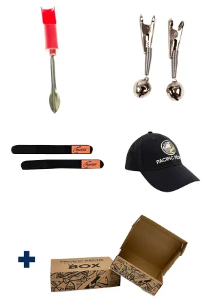 Expédié Aujourd'hui Pack Outillages Canne