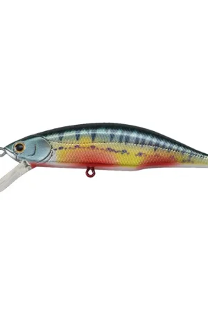 Leurre Dur Jerkbait Jackson Meteora Ryusei 63 6.3cm, 7.5g Meilleure Vente