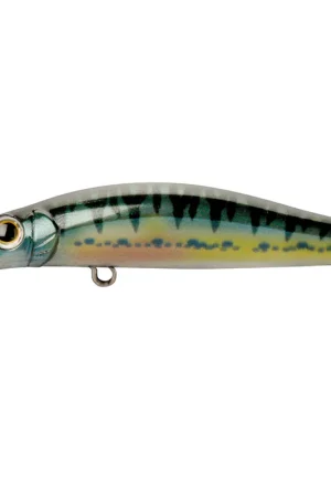 Leurre Dur Jerkbait Jackson Artist FR55 5.5cm, 4g Nouvel Arrivage