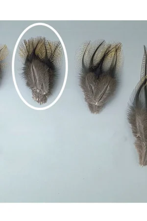 Achetez Aujourd'hui Fly tying jmc plumes de pardo pelle de cape grade 1