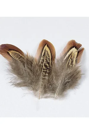 Bon Plan Fly tying plume de faisan jmc