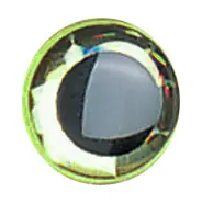Yeux mouche relief 6 mm jmc Promotion