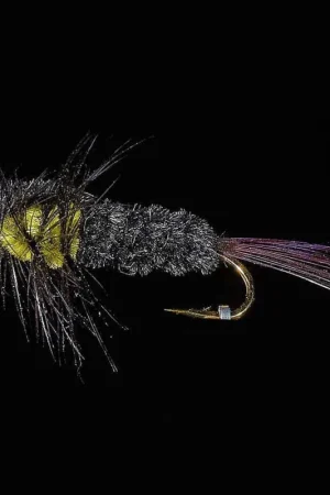 Solde Mouche montana JMC ST 31 H10 (x3)
