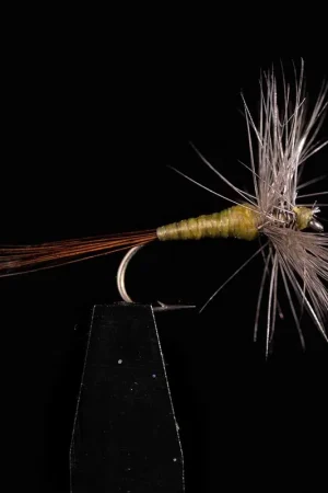 Commande En Gros Araign&eacute;e JMC 600 H16 (x3)