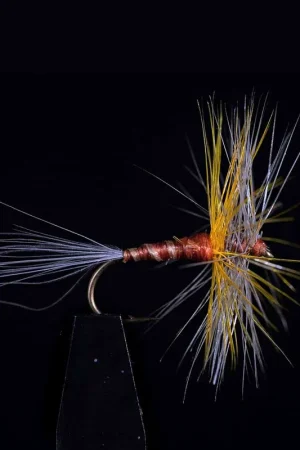 Vente Flash Araignée JMC 601 H14 (x3)