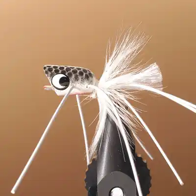 Authentique Mouche jmc popper bass 24 t8
