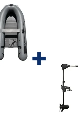 Réduction Pack Session 290 + Moteur 65 Lbs