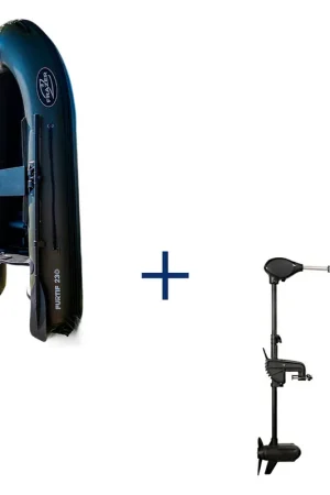 Achat Immédiat Pack Furtif 230 + Moteur 65 Lbs