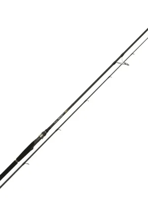 Achetez Aujourd'hui Canne lancer ultimate five sp 96 mh shore caster 2,90m 14-42g