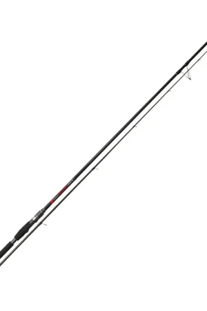 Canne Tenryu Namija 1080 H Seulement Aujourd'hui