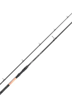 Canne Skeater Chaser DB Power Pike 10' 3.5lbs Promotion