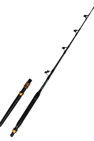 Okuma Makaira Trolling Nouvelle Collection