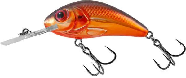Salmo Rattlin Hornet 4,5cm Floating Usine Directe