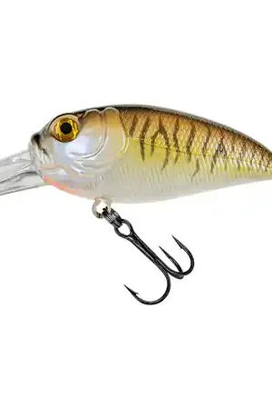 Poisson nageur Sculpo DR Rattlin' Molix 5.5cm (14g) Must-Have