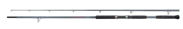 Canne à silure Shimano Forcemaster AX Expédition Rapide