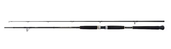 Usine Directe Canne Shimano Beastmaster AX Pilk