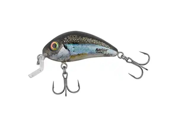 Salmo Rattlin Hornet 4,5cm Shallow (6g) Acheter Direct