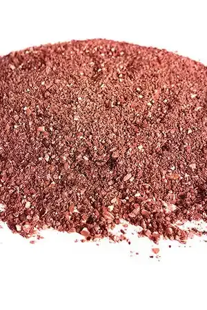 Soldes Amorce Bloodworm Halibut Tijgernotenkopen (2.5kg)