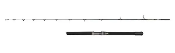 Quantité Limitée Canne Bateau Grande Profondeur Penn Battalion Solid Talon Droit