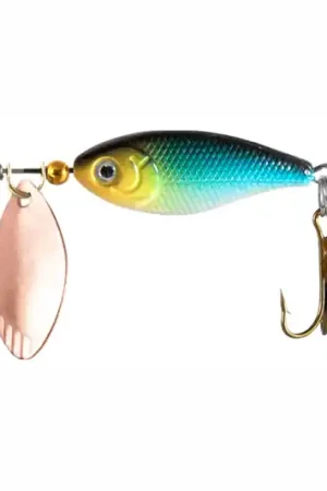 Wizard Chub Spinner 8 gr Usine Directe